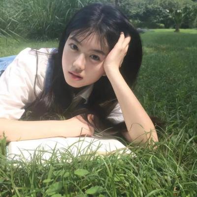 阿尔西诺和飞鹰