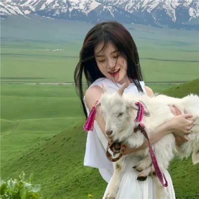 选举追缉令